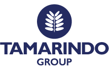Tamarindo Group